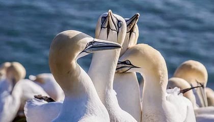 丽水2026年最新北京商务伴游经纪招聘渠道分享(最方便真实的丽水北京爱特博旅运服务有限责任公司招聘方法)