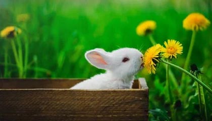 丽水2026年最新北京商务伴游经纪招聘渠道分享(最方便真实的丽水北京爱特博旅运服务有限责任公司招聘方法)